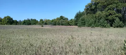 Scott Road, Wolverine, MI 49799 photo 6