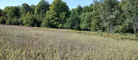 Scott Road, Wolverine, MI 49799 photo 7