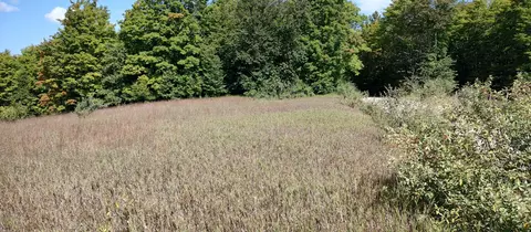 Scott Road, Wolverine, MI 49799 photo 20