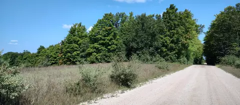 Scott Road, Wolverine, MI 49799 photo 5