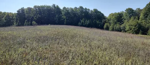 Scott Road, Wolverine, MI 49799 photo 8