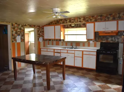 224 S D St, Cheboygan, MI 49721 photo 4