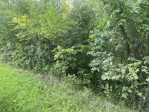 N Us-23 Highway, Alpena, MI 49707