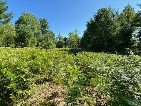 lot58 Fairway Hollow Drive Mancelona Mi 49659 Dr, Mancelona, MI 49659
