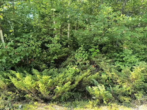 Harwood Court, Presque Isle, MI 49777