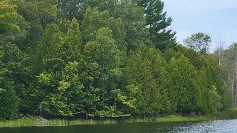 South River Road, Cheboygan, MI 49721