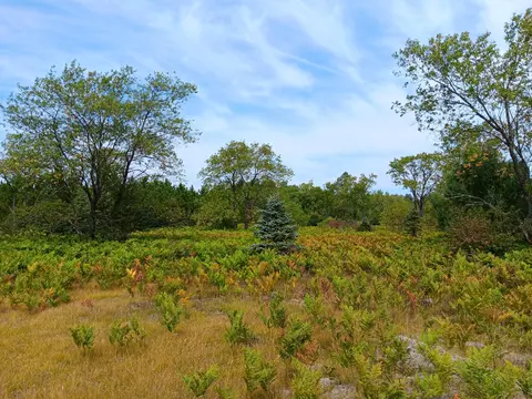 Lindsey Lane, Gaylord, MI 49735