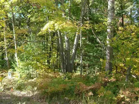 8081 East Rhoby Road #10 ACRES, Merritt, MI 49667