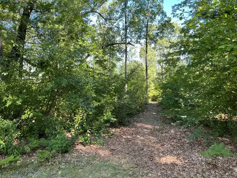 184 Vegas Court #LOT 184, Prudenville, MI 48651