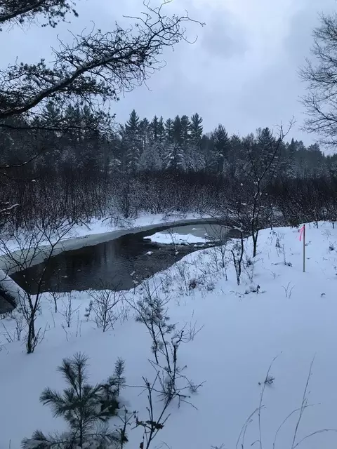 Ausable River Trail, Roscommon, MI 48653 photo 11