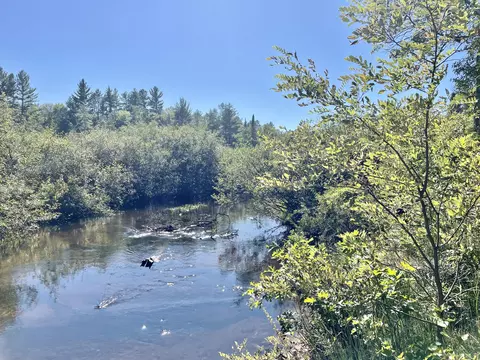 Ausable River Trail, Roscommon, MI 48653 photo 7
