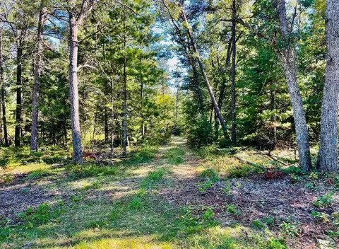 Ausable River Trail, Roscommon, MI 48653 photo 6