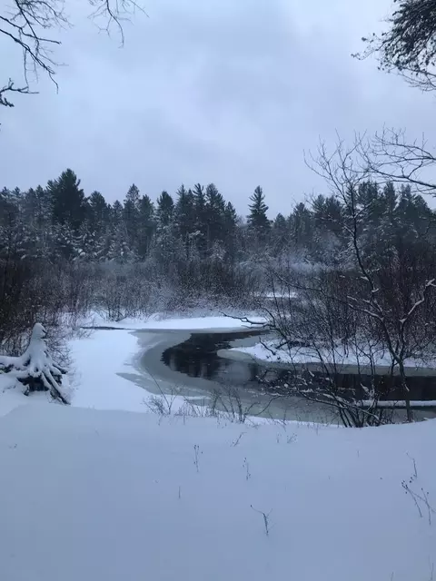 Ausable River Trail, Roscommon, MI 48653 photo 13