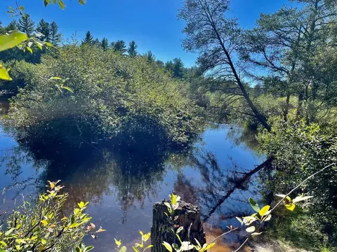 Ausable River Trail, Roscommon, MI 48653