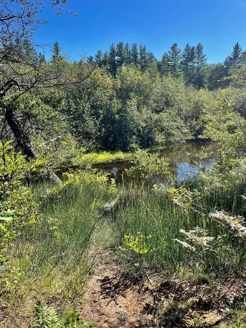 Ausable River Trail, Roscommon, MI 48653 photo 4