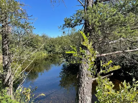 Ausable River Trail, Roscommon, MI 48653 photo 3