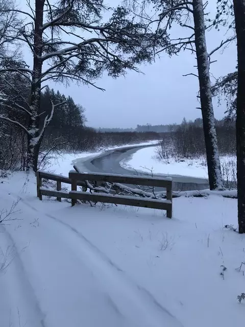 Ausable River Trail, Roscommon, MI 48653 photo 12