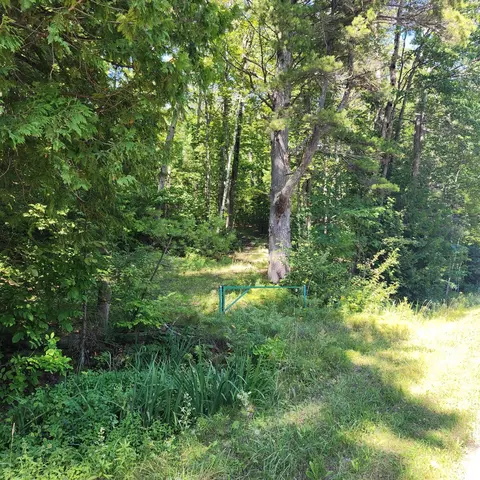2575 N Lakeshore Drive Harrisville Mi 48740 Dr, Harrisville, MI 48740
