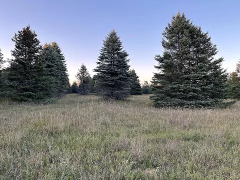Elder Road, Mancelona, MI 49659