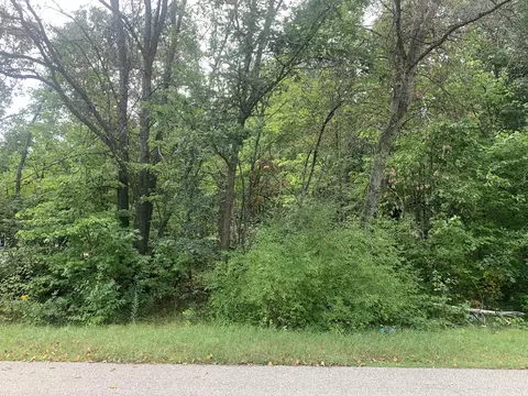 lot Apt 286 Whitebirch Drive Houghton Lake Mi 48629 Dr, Houghton Lake, MI 48629