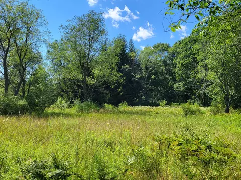 8105 N Harrison Rd, Roscommon, MI 48653 photo 30