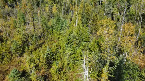 Airport Road, Rogers City, MI 49779