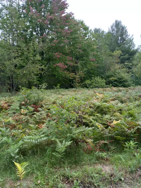 Hidden Lake Trail Lot 481, Elmira, MI 49730