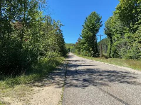 May Lake Road, Frederic, MI 49733 photo 12