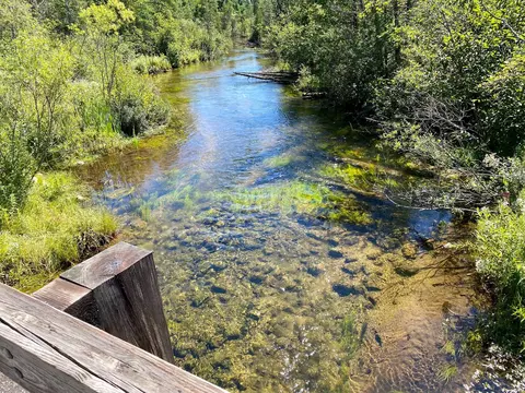 May Lake Road, Frederic, MI 49733 photo 11