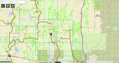 May Lake Road, Frederic, MI 49733 photo 15
