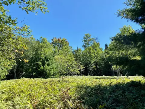 May Lake Road, Frederic, MI 49733 photo 5