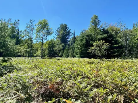 May Lake Road, Frederic, MI 49733 photo 8