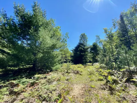 May Lake Road, Frederic, MI 49733 photo 13