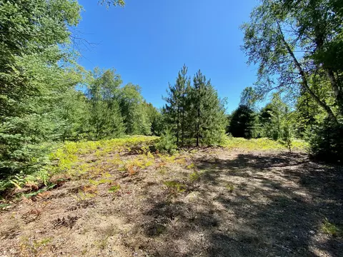 May Lake Road, Frederic, MI 49733 photo 9