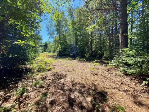 May Lake Road, Frederic, MI 49733 photo 4