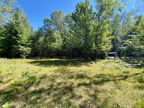 May Lake Road, Frederic, MI 49733 photo 7