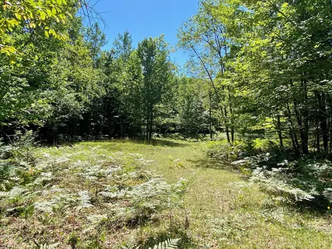 May Lake Road, Frederic, MI 49733 photo 6