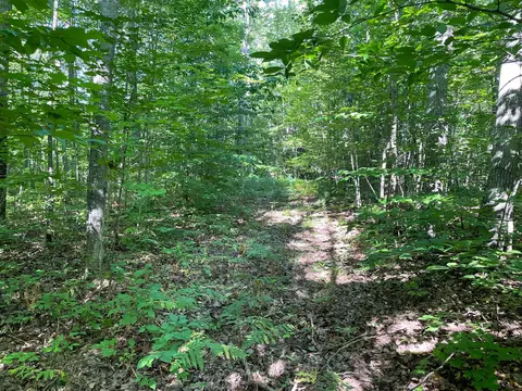 11892 Davis Creek Drive Wolverine Mi 49799 Dr, Wolverine, MI 49799