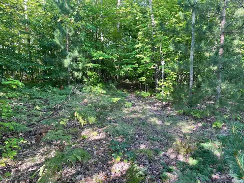 11892 Davis Creek Dr, Wolverine, MI 49799 photo 8
