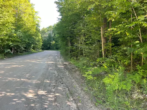 11892 Davis Creek Dr, Wolverine, MI 49799 photo 7