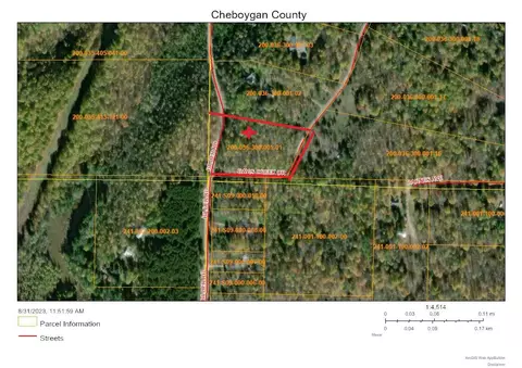 11892 Davis Creek Dr, Wolverine, MI 49799 photo 3