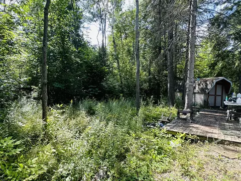 Coulson Drive, Cheboygan, MI 49721