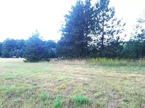 S Straits Highway, Vanderbilt, MI 49795 photo 6