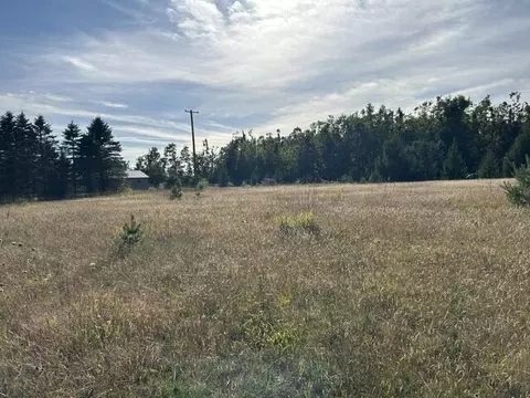 S Straits Highway, Vanderbilt, MI 49795 photo 10