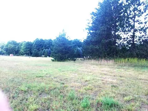 S Straits Highway, Vanderbilt, MI 49795 photo 8