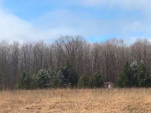 S Straits Highway, Vanderbilt, MI 49795 photo 3