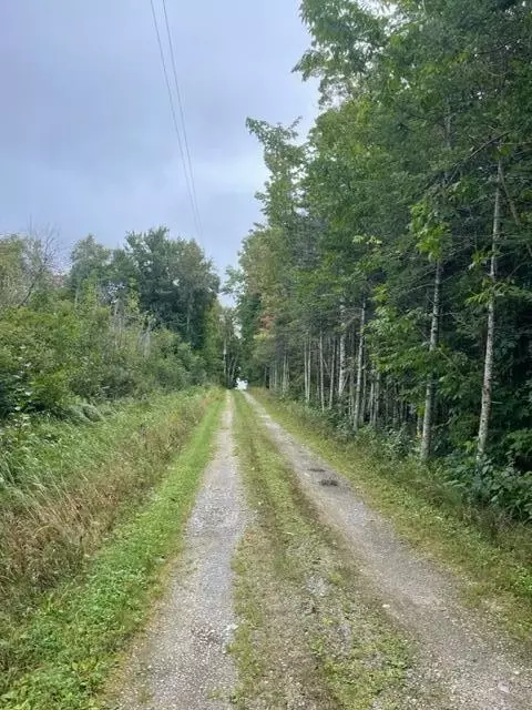 Hawk Lane, Millersburg, MI 49759