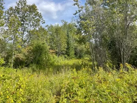 N 9th Street, Onaway, MI 49765