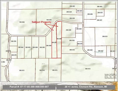 Clement Road, Alanson, MI 49706 photo 2