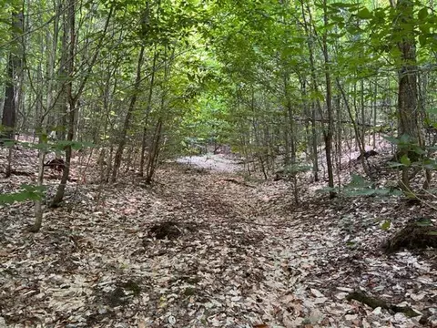 Clement Road, Alanson, MI 49706 photo 5